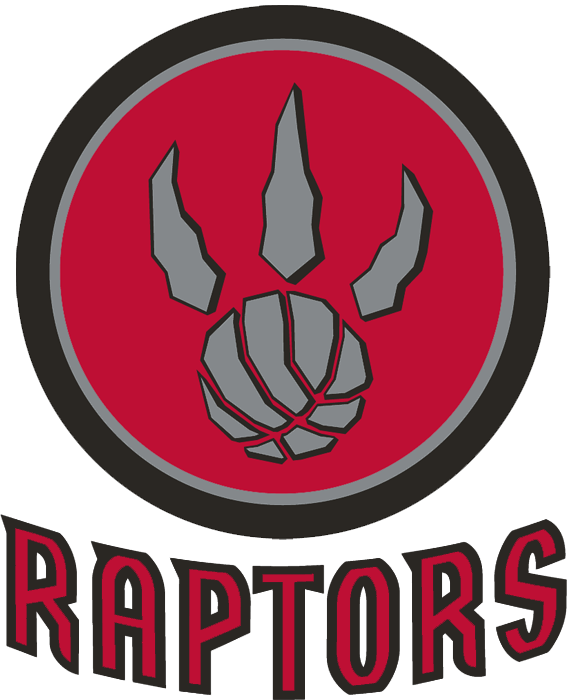 Toronto Raptors 2011-2015 Alternate Logo fabric transfer version 3